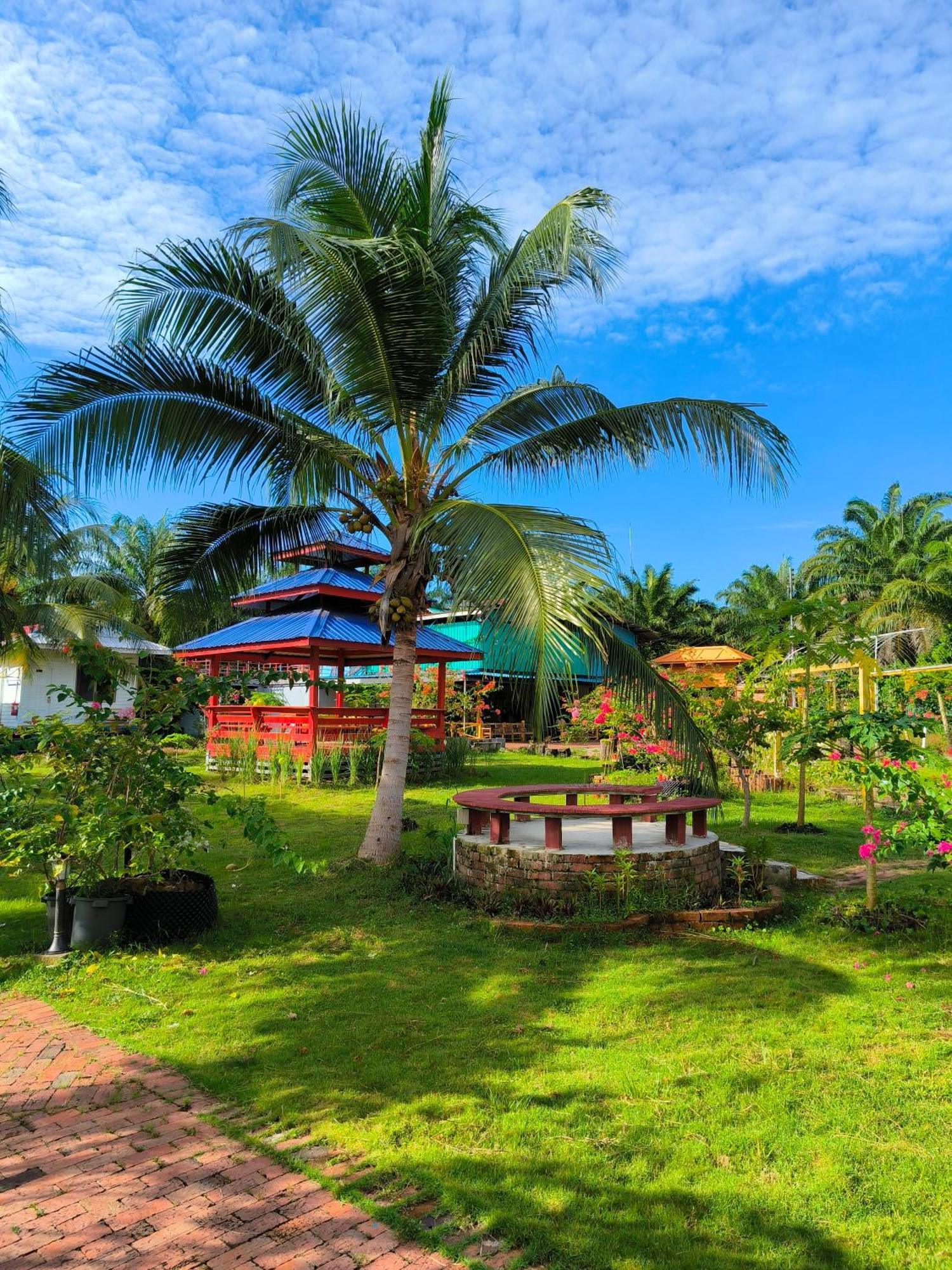 Shunde Palm Resort 仙本那顺德人家棕榈园 Exterior foto