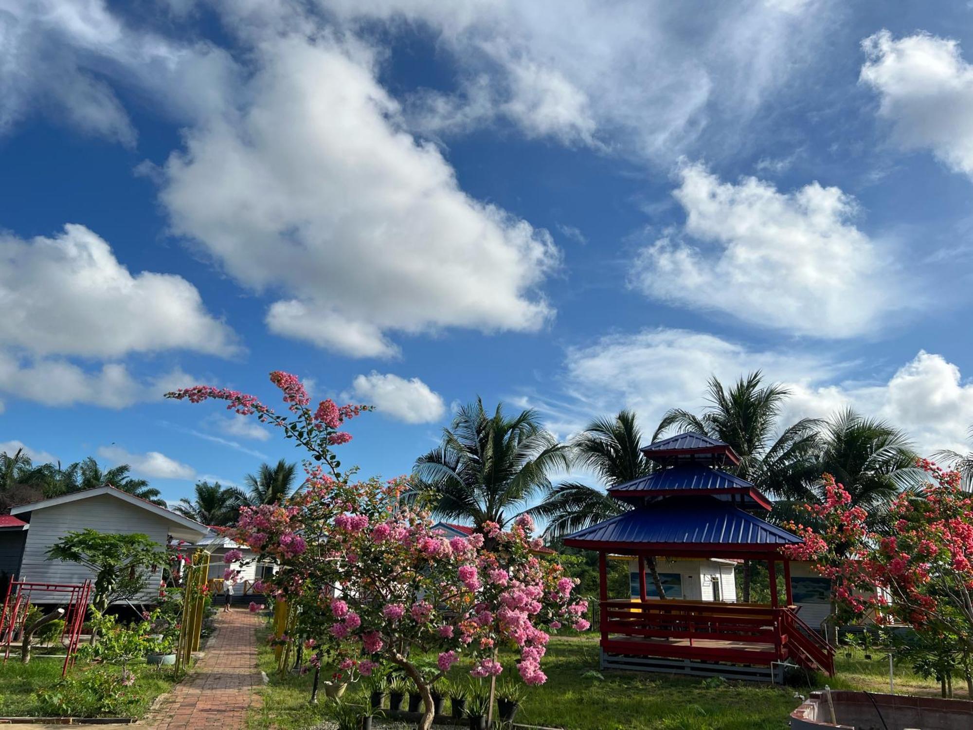 Shunde Palm Resort 仙本那顺德人家棕榈园 Exterior foto