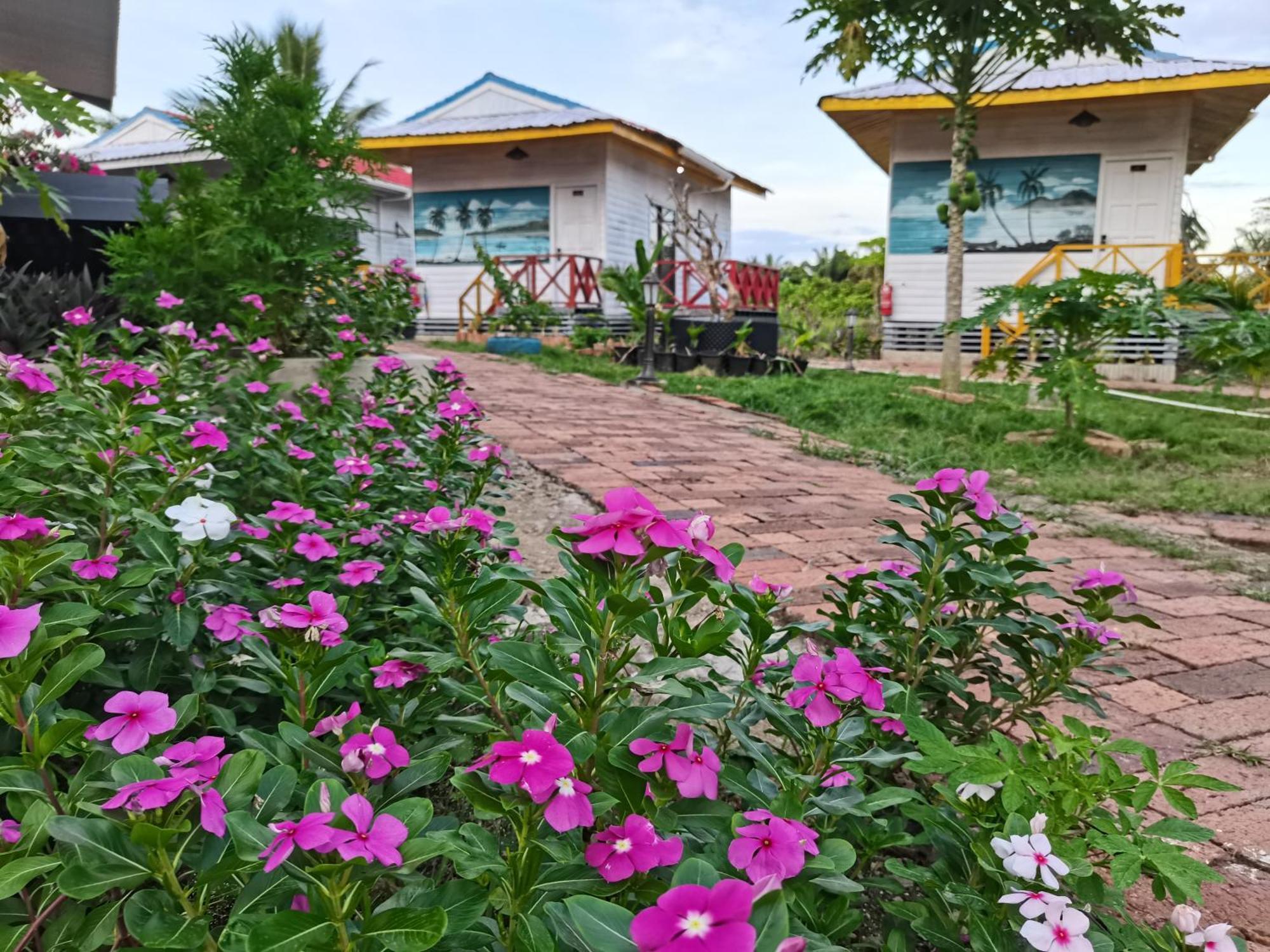 Shunde Palm Resort 仙本那顺德人家棕榈园 Exterior foto